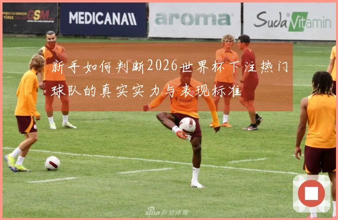 新手如何判断2026世界杯下注热门球队的真实实力与表现标准