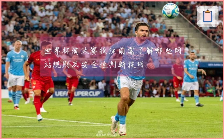 世界杯淘汰赛投注前需了解哪些网站规则及安全性判断技巧