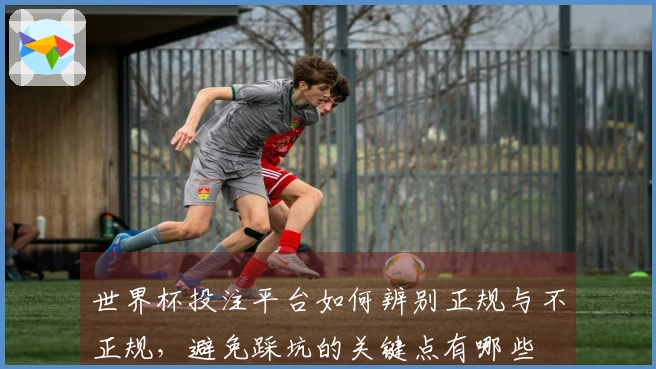 世界杯投注平台如何辨别正规与不正规，避免踩坑的关键点有哪些