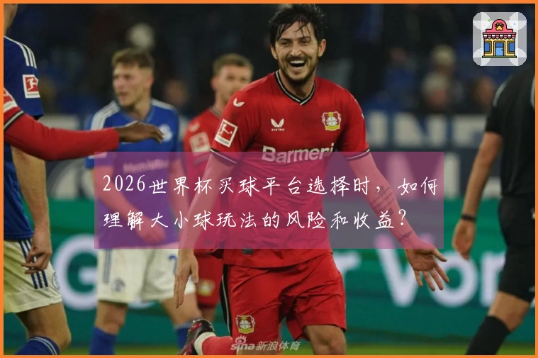 2026世界杯买球平台选择时，如何理解大小球玩法的风险和收益？