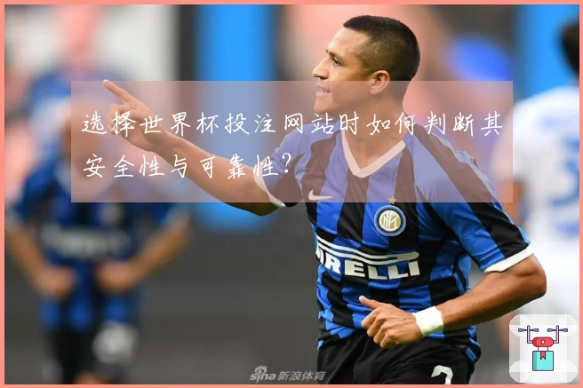 选择世界杯投注网站时如何判断其安全性与可靠性？