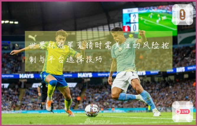 世界杯冠军竞猜时需关注的风险控制与平台选择技巧