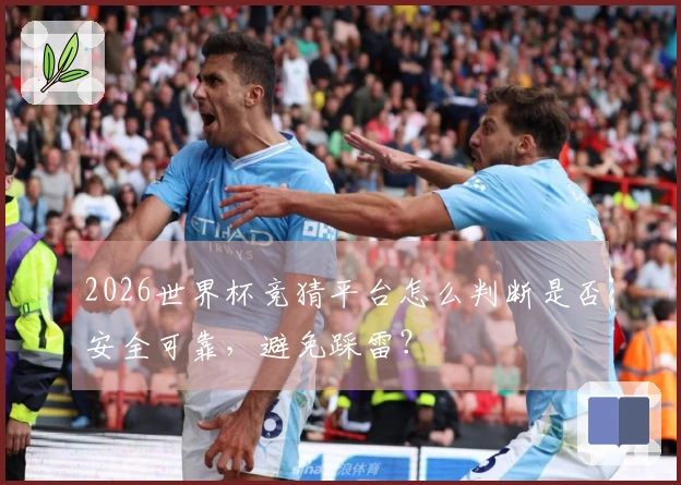 2026世界杯竞猜平台怎么判断是否安全可靠，避免踩雷？