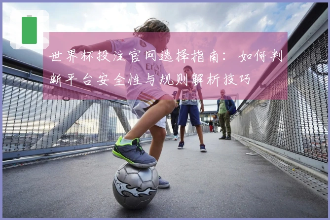 世界杯投注官网选择指南：如何判断平台安全性与规则解析技巧