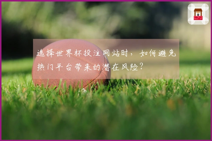 选择世界杯投注网站时，如何避免热门平台带来的潜在风险？
