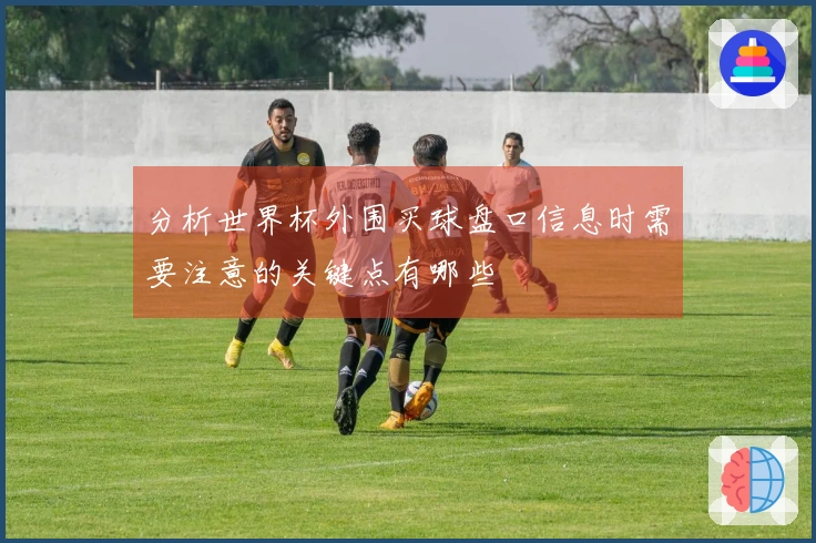 分析世界杯外围买球盘口信息时需要注意的关键点有哪些