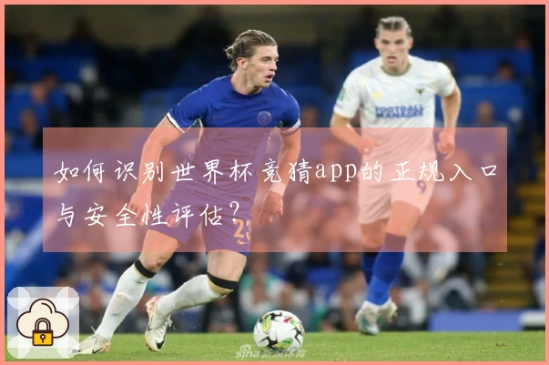 如何识别世界杯竞猜app的正规入口与安全性评估？