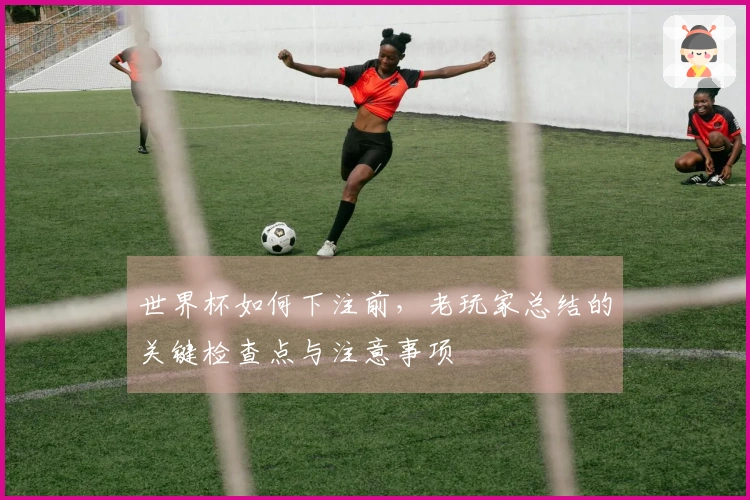世界杯如何下注前，老玩家总结的关键检查点与注意事项