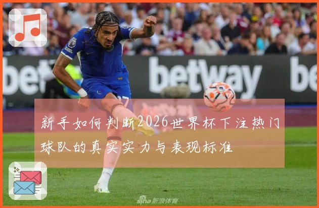 新手如何判断2026世界杯下注热门球队的真实实力与表现标准
