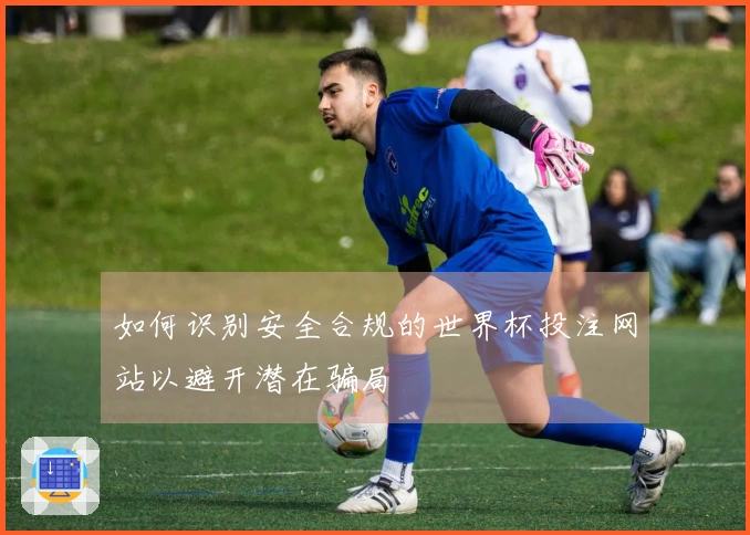 如何识别安全合规的世界杯投注网站以避开潜在骗局