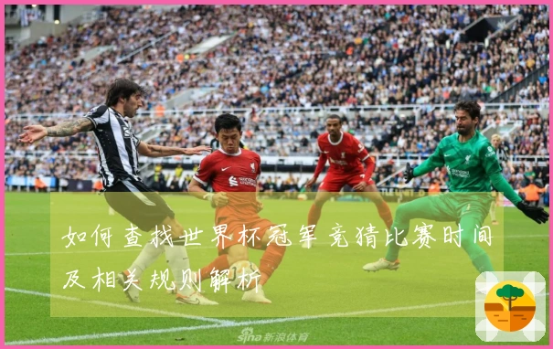 如何查找世界杯冠军竞猜比赛时间及相关规则解析