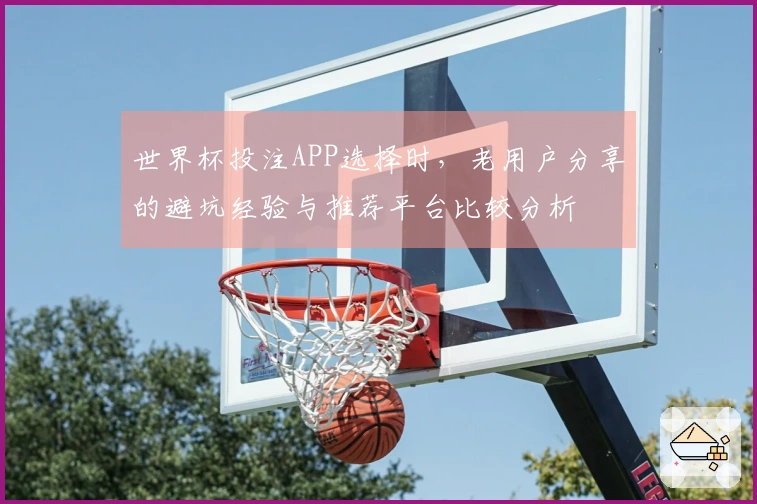 世界杯投注APP选择时，老用户分享的避坑经验与推荐平台比较分析