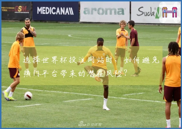 选择世界杯投注网站时，如何避免热门平台带来的潜在风险？