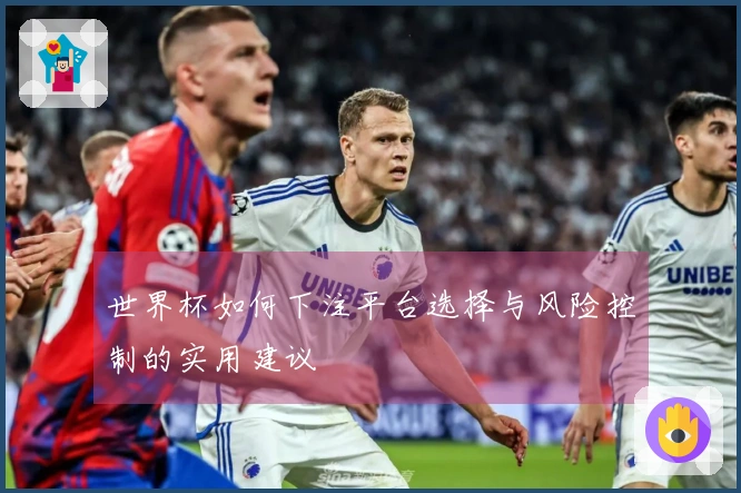 世界杯如何下注平台选择与风险控制的实用建议