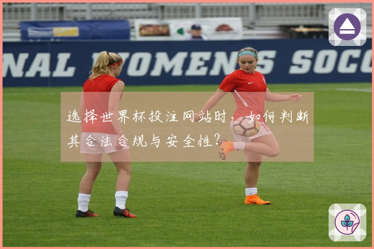 选择世界杯投注网站时，如何判断其合法合规与安全性？