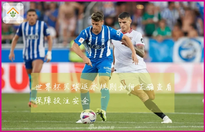 世界杯买球返水规则如何正确查看保障投注安全