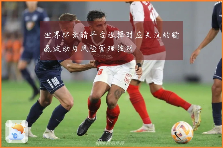 世界杯竞猜平台选择时应关注的输赢波动与风险管理技巧