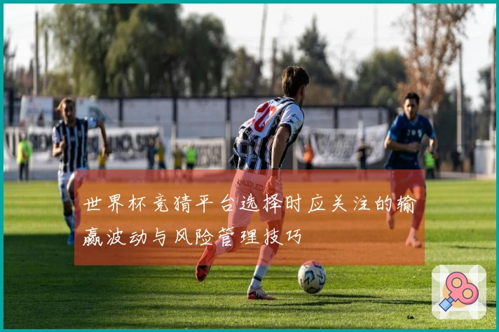世界杯竞猜平台选择时应关注的输赢波动与风险管理技巧