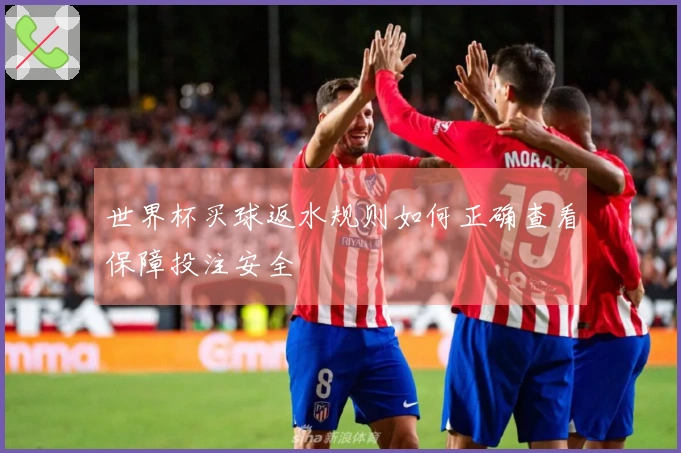 世界杯买球返水规则如何正确查看保障投注安全