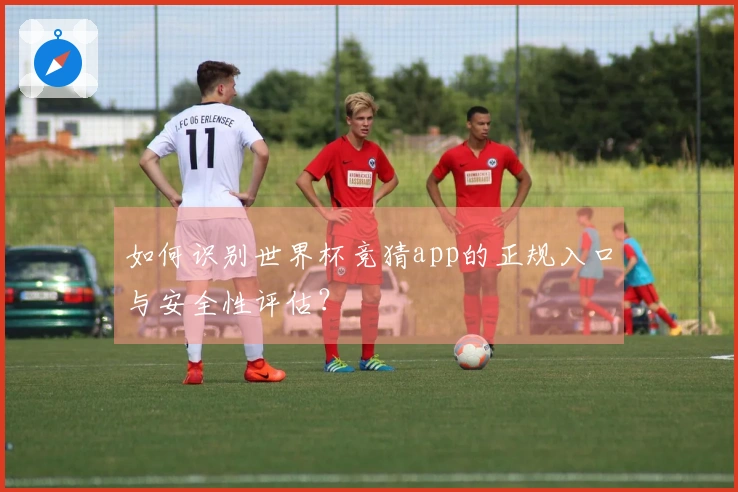 如何识别世界杯竞猜app的正规入口与安全性评估？