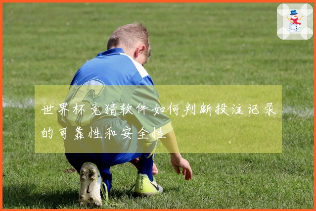 世界杯竞猜软件如何判断投注记录的可靠性和安全性