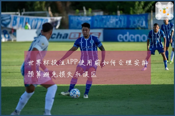 世界杯投注APP使用前如何合理安排预算避免损失和误区