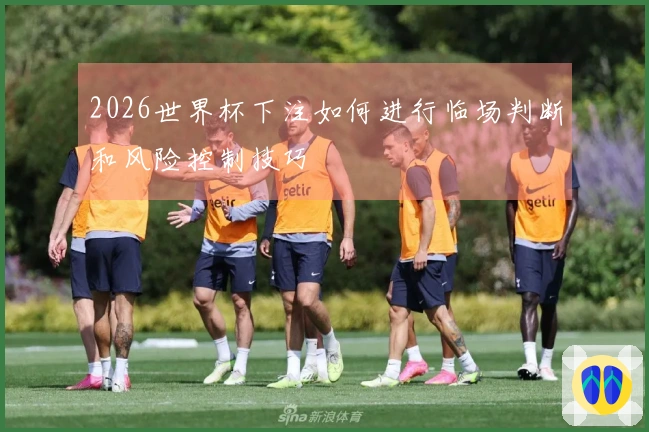 2026世界杯下注如何进行临场判断和风险控制技巧