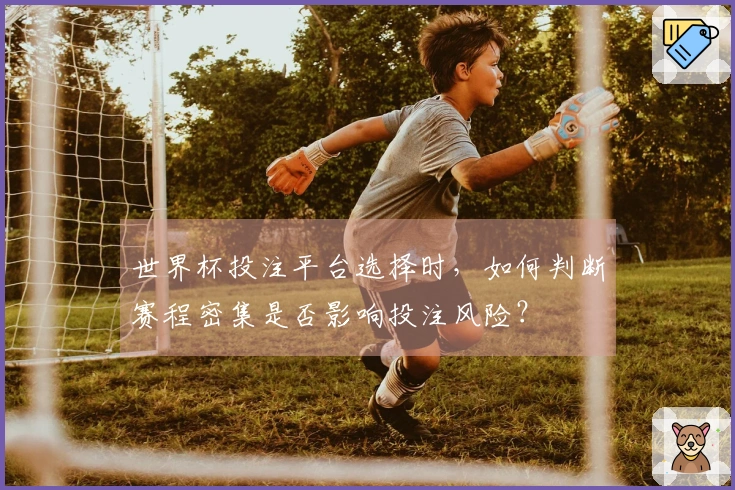 世界杯投注平台选择时，如何判断赛程密集是否影响投注风险？