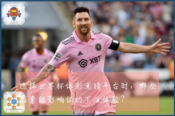 选择世界杯体彩竞猜平台时，哪些因素能影响你的下注体验？