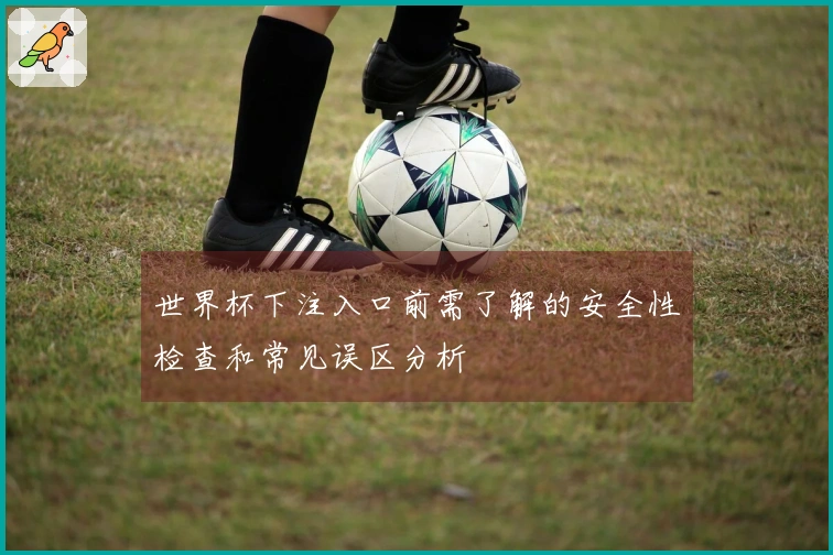 世界杯下注入口前需了解的安全性检查和常见误区分析