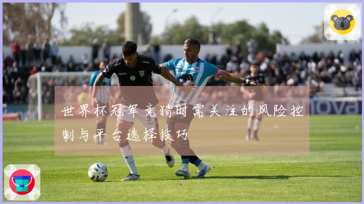 世界杯冠军竞猜时需关注的风险控制与平台选择技巧