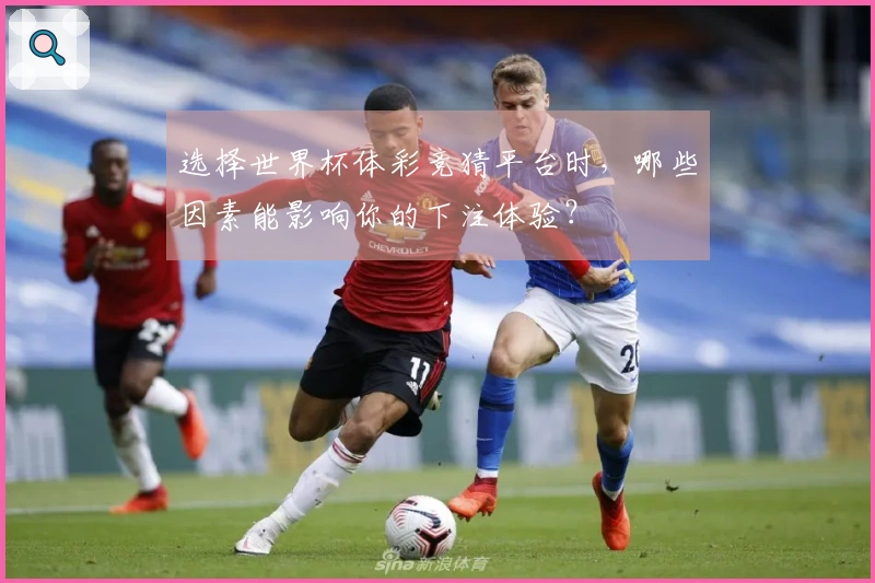选择世界杯体彩竞猜平台时,哪些因素能影响你的下注体验?