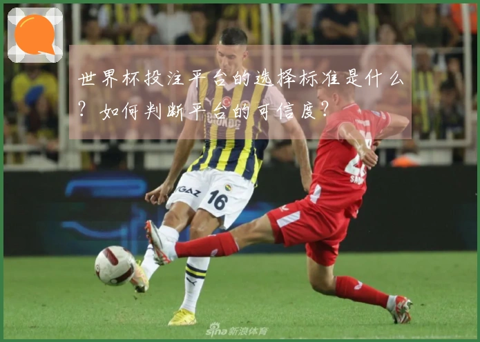 世界杯投注平台的选择标准是什么？如何判断平台的可信度？