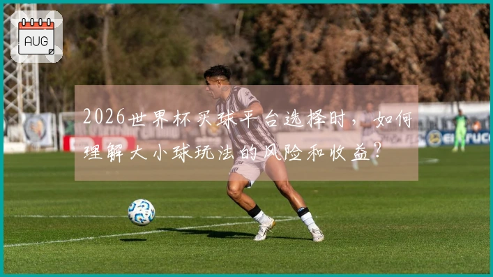 2026世界杯买球平台选择时，如何理解大小球玩法的风险和收益？