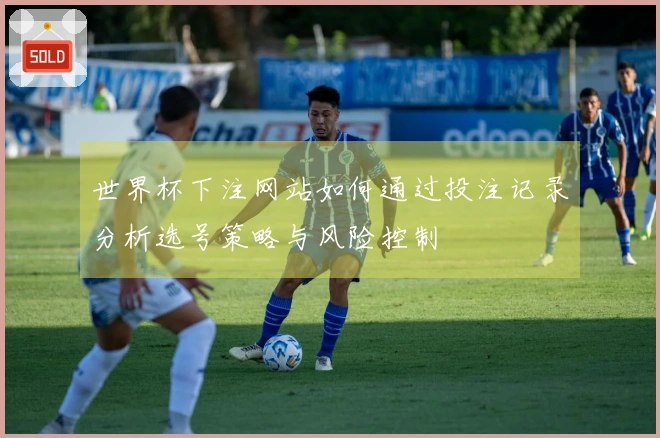世界杯下注网站如何通过投注记录分析选号策略与风险控制