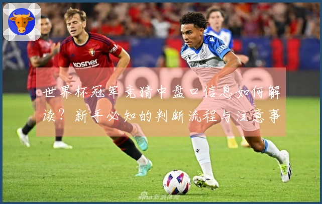 世界杯冠军竞猜中盘口信息如何解读？新手必知的判断流程与注意事项
