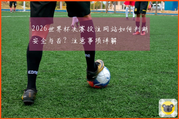 2026世界杯决赛投注网站如何判断安全与否？注意事项详解
